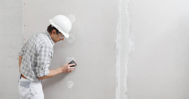 Trusted Waterville, MN Mold Removal Experts
