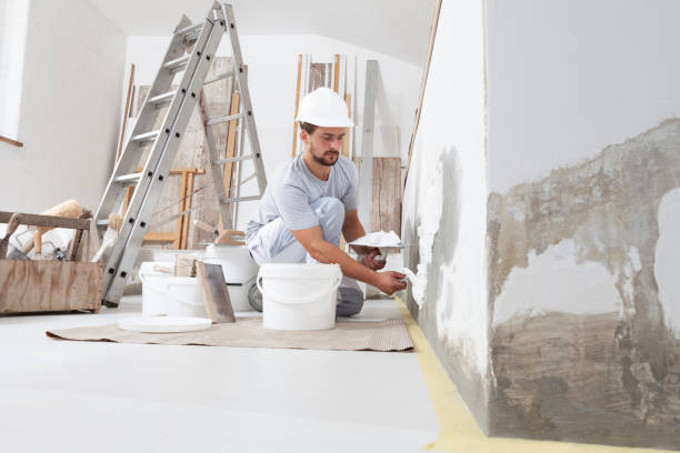Best Post-Construction Mold Inspection  in Waterville, MN